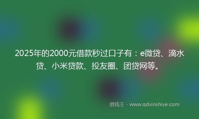 2025年的2000元借款秒过口子有：e微贷、滴水贷、小米贷款、投友圈、团贷网等。