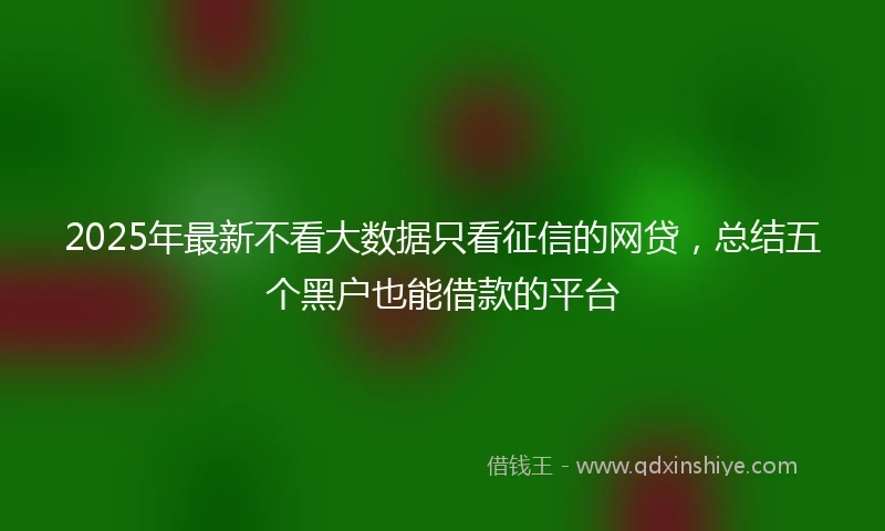 2025年最新不看大数据只看征信的网贷，总结五个黑户也能借款的平台