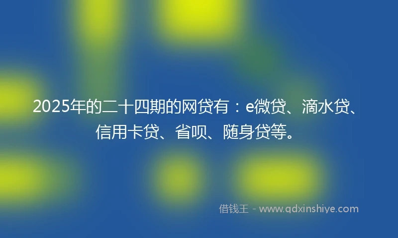 2025年的二十四期的网贷有：e微贷、滴水贷、信用卡贷、省呗、随身贷等。