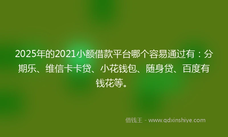 2025年的2021小额借款平台哪个容易通过有：分期乐、维信卡卡贷、小花钱包、随身贷、百度有钱花等。