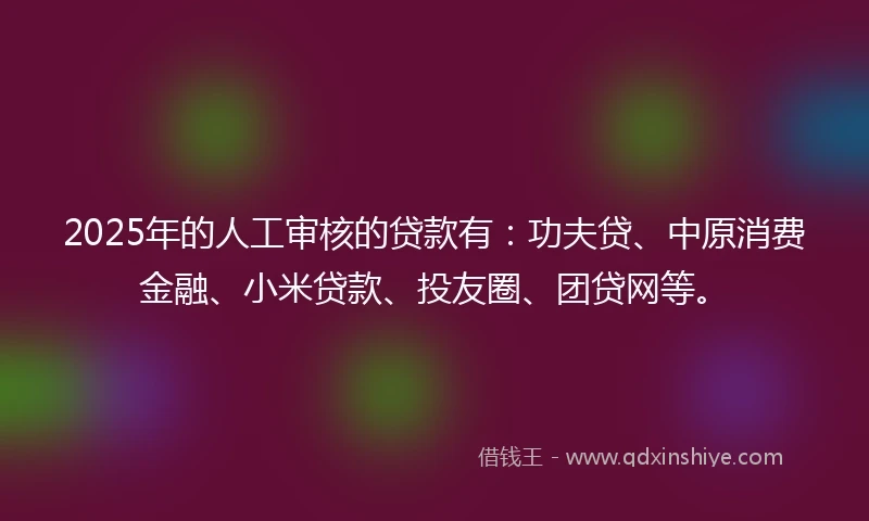 2025年的人工审核的贷款有：功夫贷、中原消费金融、小米贷款、投友圈、团贷网等。