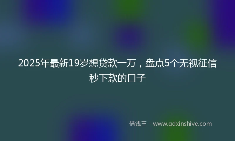 2025年最新19岁想贷款一万，盘点5个无视征信秒下款的口子