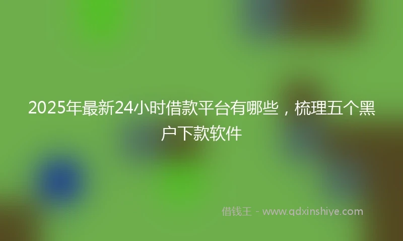 2025年最新24小时借款平台有哪些，梳理五个黑户下款软件