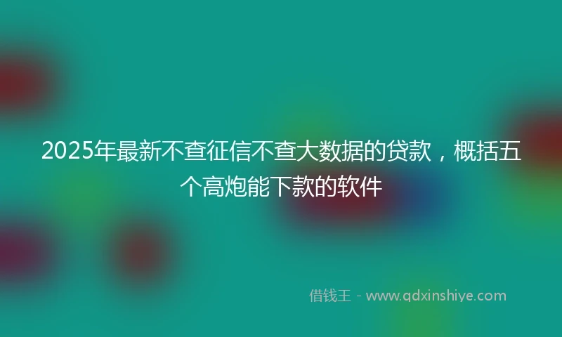 2025年最新不查征信不查大数据的贷款，概括五个高炮能下款的软件