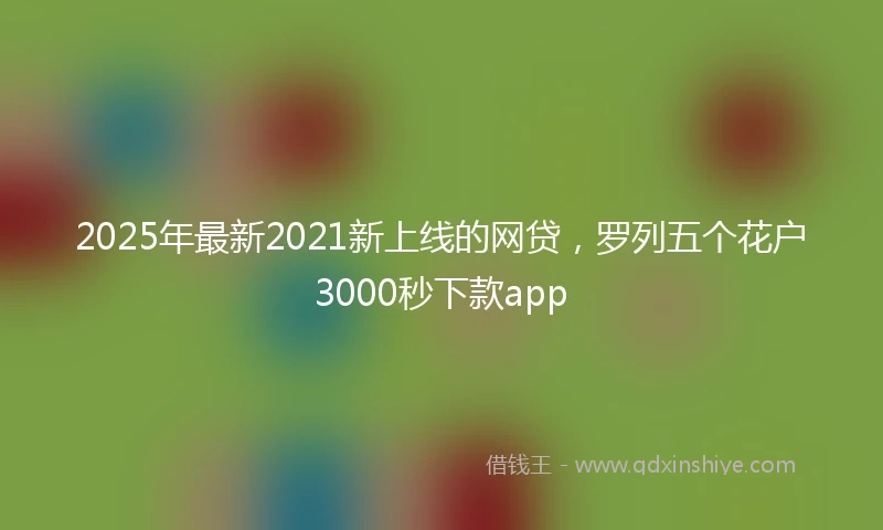 2025年最新2021新上线的网贷，罗列五个花户3000秒下款app