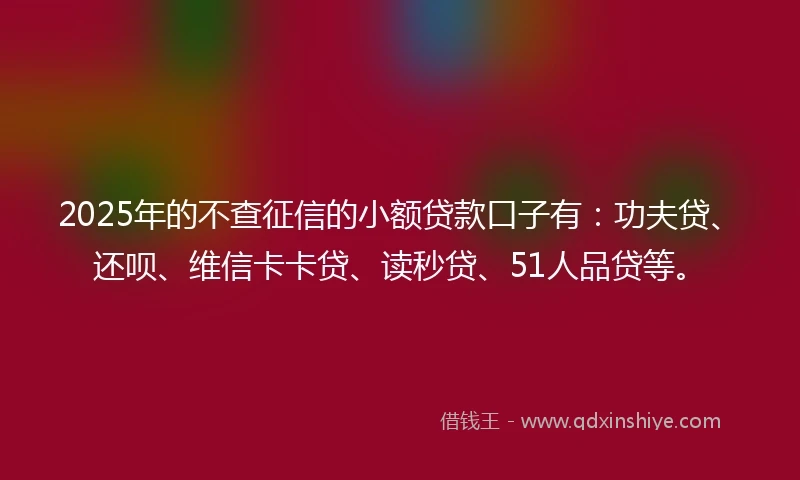2025年的不查征信的小额贷款口子有：功夫贷、还呗、维信卡卡贷、读秒贷、51人品贷等。