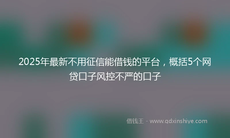 2025年最新不用征信能借钱的平台，概括5个网贷口子风控不严的口子