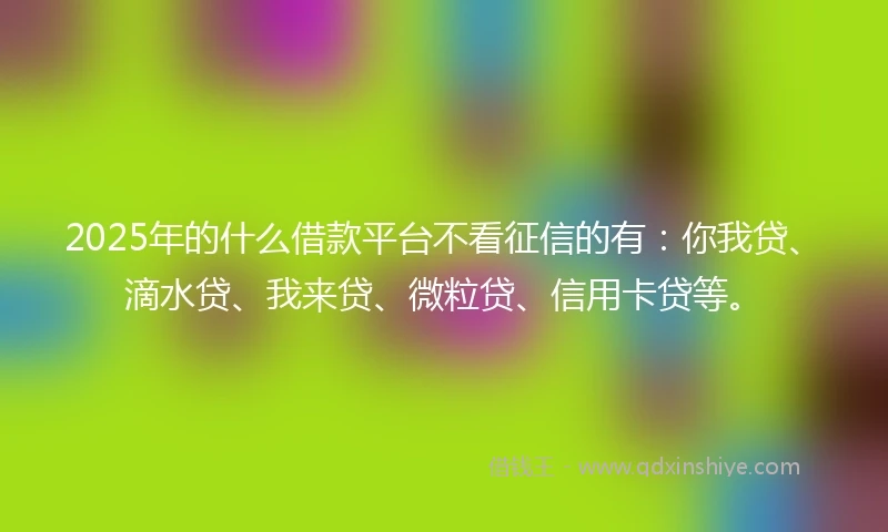 2025年的什么借款平台不看征信的有：你我贷、滴水贷、我来贷、微粒贷、信用卡贷等。