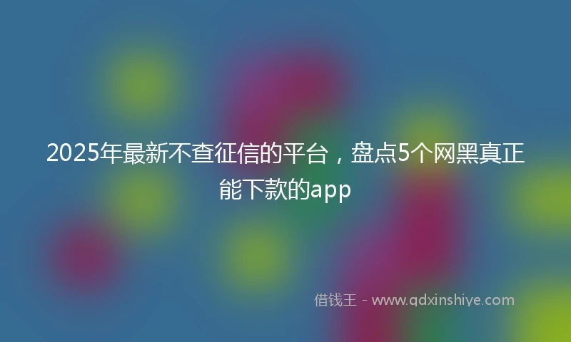 2025年最新不查征信的平台，盘点5个网黑真正能下款的app