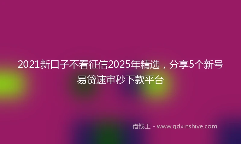 2021新口子不看征信2025年精选，分享5个新号易贷速审秒下款平台