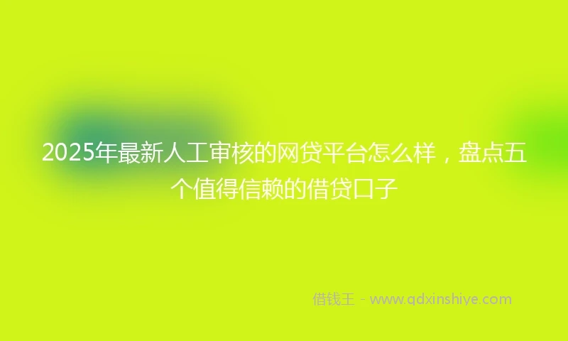 2025年最新人工审核的网贷平台怎么样，盘点五个值得信赖的借贷口子