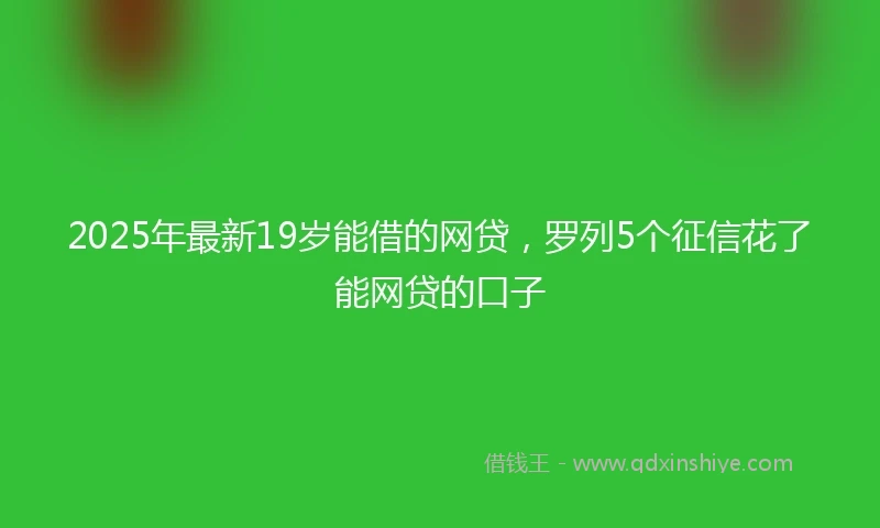 2025年最新19岁能借的网贷，罗列5个征信花了能网贷的口子