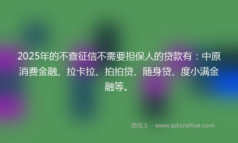2025年的不查征信不需要担保人的贷款有：中原消费金融、拉卡拉、拍拍贷、随身贷、度小满金融等。