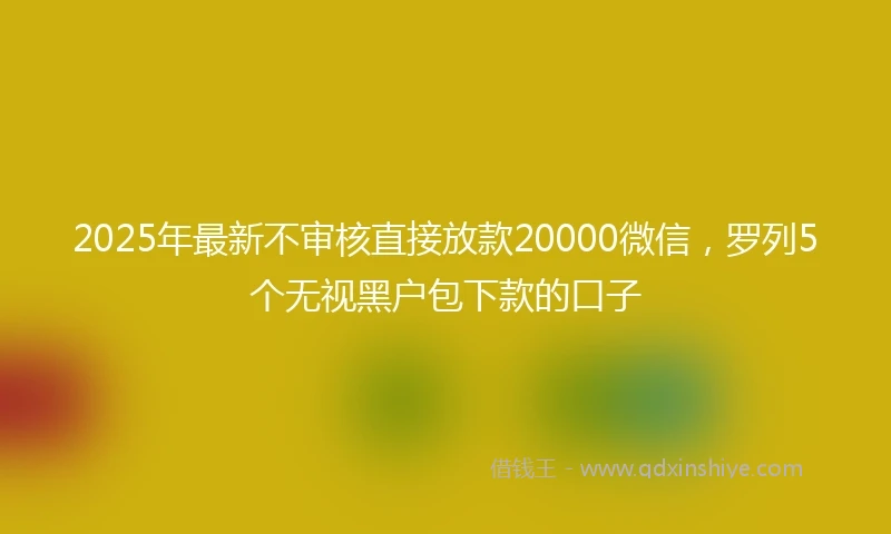 2025年最新不审核直接放款20000微信，罗列5个无视黑户包下款的口子