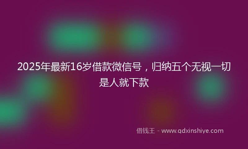 2025年最新16岁借款微信号，归纳五个无视一切是人就下款