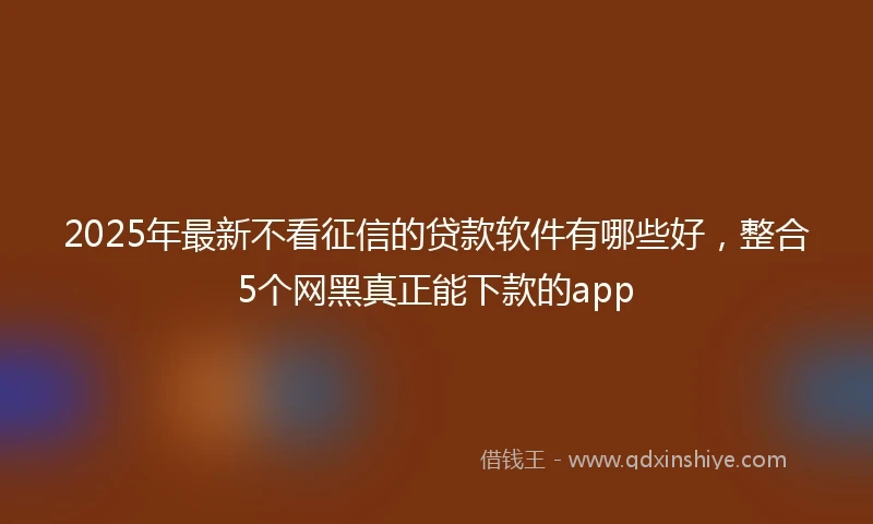 2025年最新不看征信的贷款软件有哪些好，整合5个网黑真正能下款的app