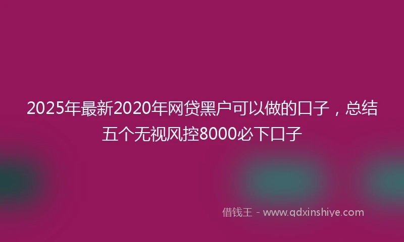 2025年最新2020年网贷黑户可以做的口子，总结五个无视风控8000必下口子