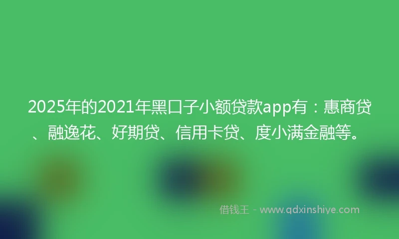 2025年的2021年黑口子小额贷款app有：惠商贷、融逸花、好期贷、信用卡贷、度小满金融等。