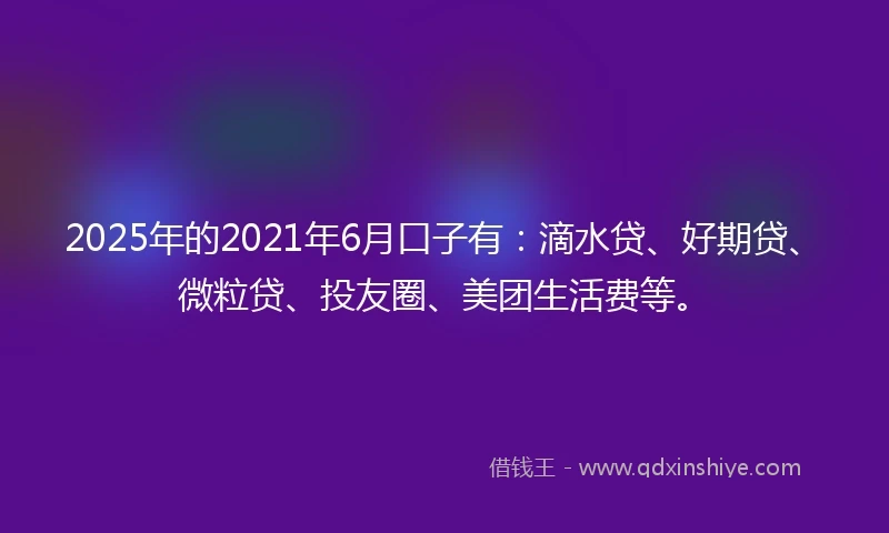 2025年的2021年6月口子有：滴水贷、好期贷、微粒贷、投友圈、美团生活费等。