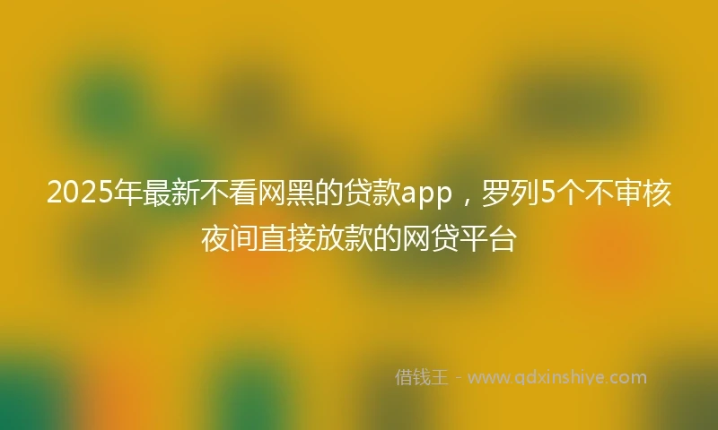 2025年最新不看网黑的贷款app，罗列5个不审核夜间直接放款的网贷平台