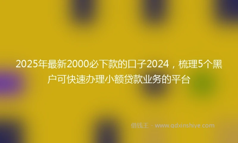 2025年最新2000必下款的口子2024，梳理5个黑户可快速办理小额贷款业务的平台