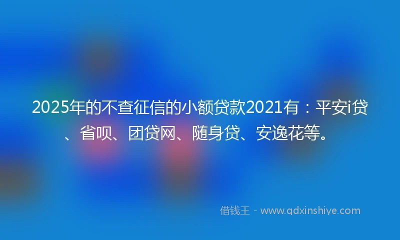 2025年的不查征信的小额贷款2021有：平安i贷、省呗、团贷网、随身贷、安逸花等。
