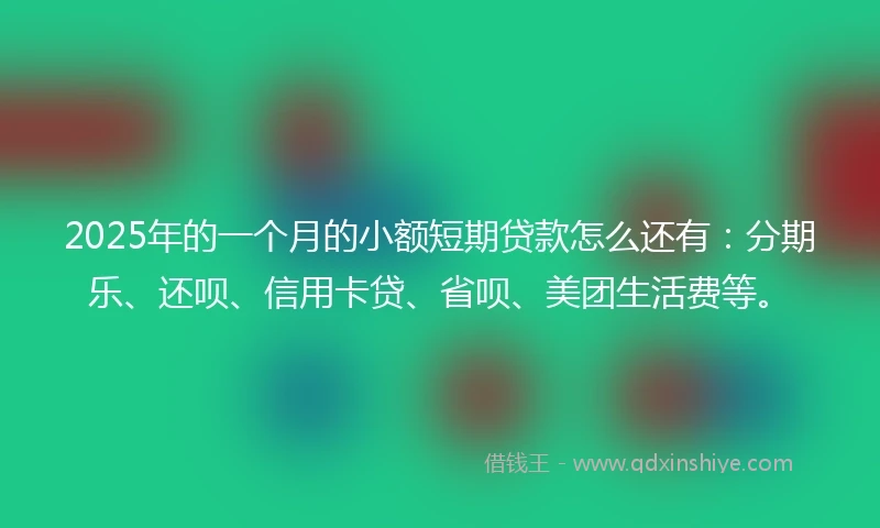 2025年的一个月的小额短期贷款怎么还有：分期乐、还呗、信用卡贷、省呗、美团生活费等。