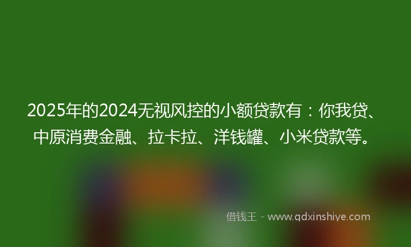 2025年的2024无视风控的小额贷款有：你我贷、中原消费金融、拉卡拉、洋钱罐、小米贷款等。