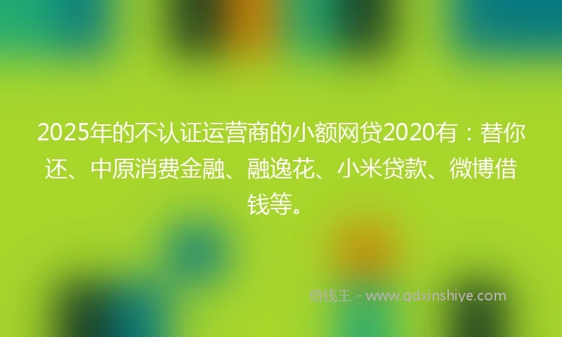 2025年的不认证运营商的小额网贷2020有：替你还、中原消费金融、融逸花、小米贷款、微博借钱等。