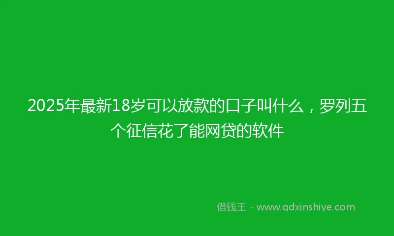 2025年最新18岁可以放款的口子叫什么，罗列五个征信花了能网贷的软件
