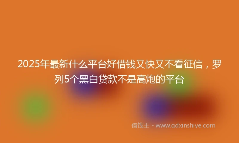 2025年最新什么平台好借钱又快又不看征信，罗列5个黑白贷款不是高炮的平台