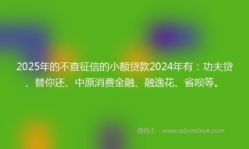 2025年的不查征信的小额贷款2024年有：功夫贷、替你还、中原消费金融、融逸花、省呗等。