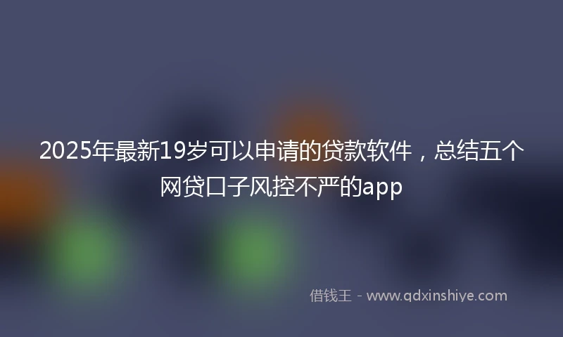 2025年最新19岁可以申请的贷款软件，总结五个网贷口子风控不严的app