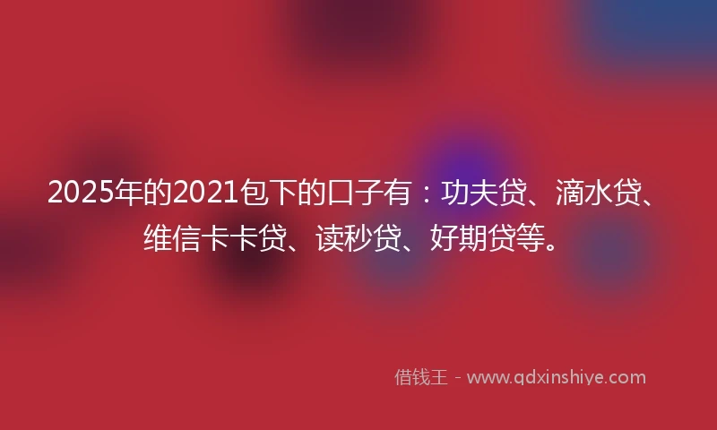 2025年的2021包下的口子有：功夫贷、滴水贷、维信卡卡贷、读秒贷、好期贷等。