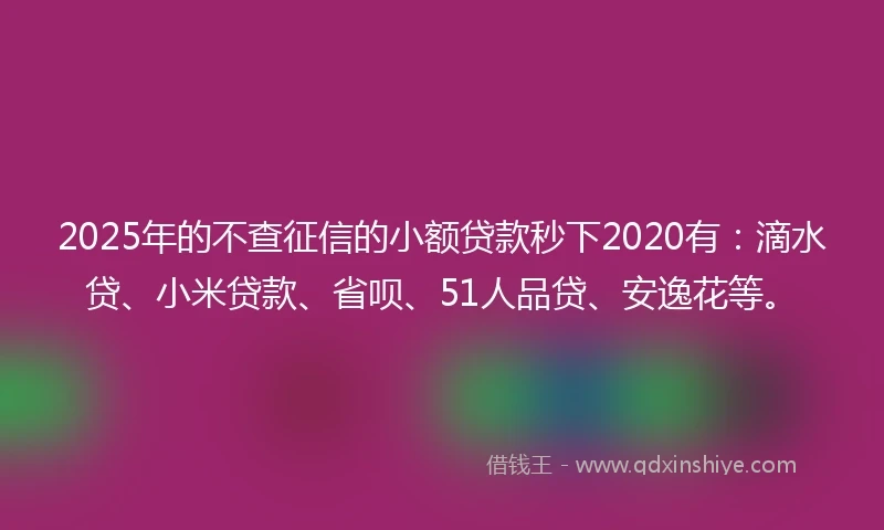 2025年的不查征信的小额贷款秒下2020有：滴水贷、小米贷款、省呗、51人品贷、安逸花等。