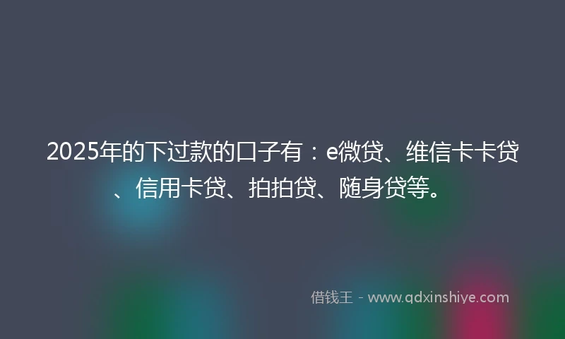 2025年的下过款的口子有：e微贷、维信卡卡贷、信用卡贷、拍拍贷、随身贷等。