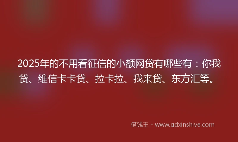 2025年的不用看征信的小额网贷有哪些有：你我贷、维信卡卡贷、拉卡拉、我来贷、东方汇等。
