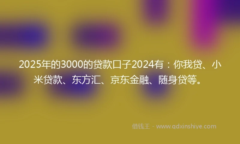 2025年的3000的贷款口子2024有：你我贷、小米贷款、东方汇、京东金融、随身贷等。