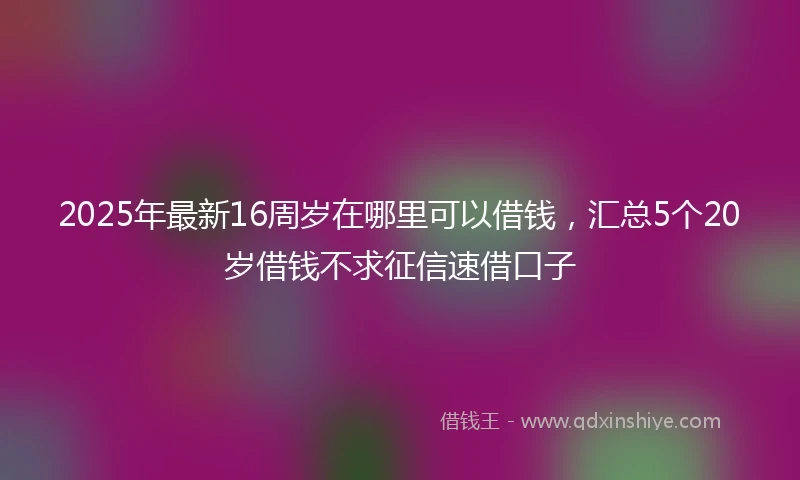 2025年最新16周岁在哪里可以借钱，汇总5个20岁借钱不求征信速借口子