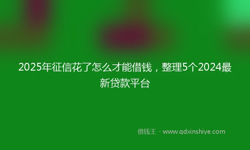 2025年征信花了怎么才能借钱，整理5个2024最新贷款平台