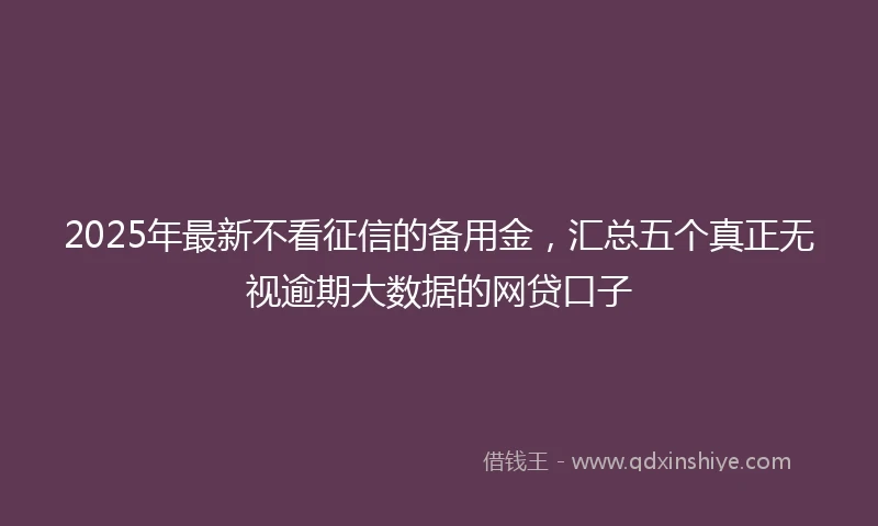 2025年最新不看征信的备用金，汇总五个真正无视逾期大数据的网贷口子