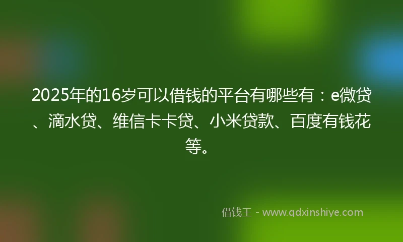 2025年的16岁可以借钱的平台有哪些有：e微贷、滴水贷、维信卡卡贷、小米贷款、百度有钱花等。