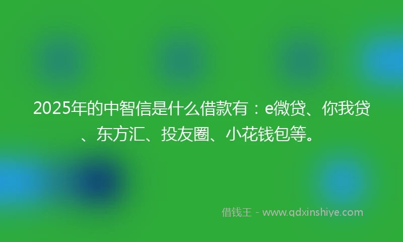 2025年的中智信是什么借款有：e微贷、你我贷、东方汇、投友圈、小花钱包等。