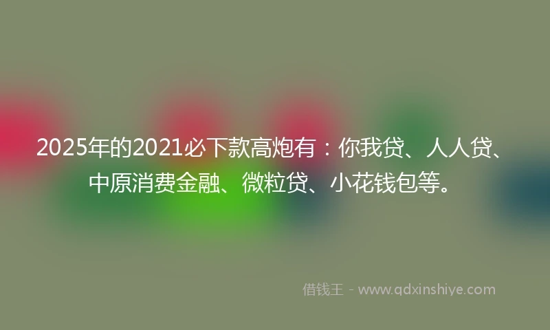 2025年的2021必下款高炮有：你我贷、人人贷、中原消费金融、微粒贷、小花钱包等。