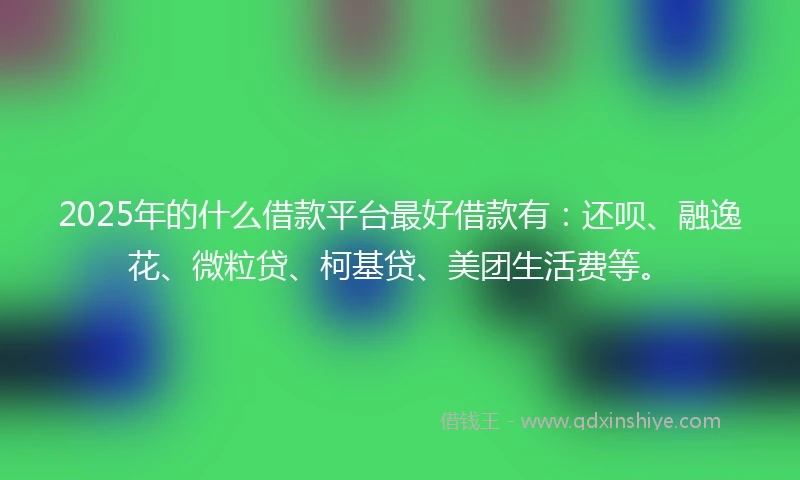 2025年的什么借款平台最好借款有：还呗、融逸花、微粒贷、柯基贷、美团生活费等。