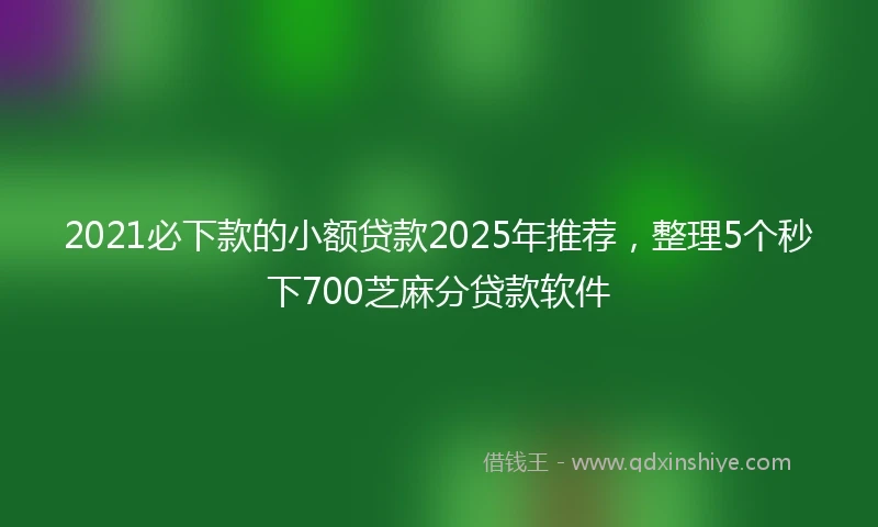 2021必下款的小额贷款2025年推荐，整理5个秒下700芝麻分贷款软件