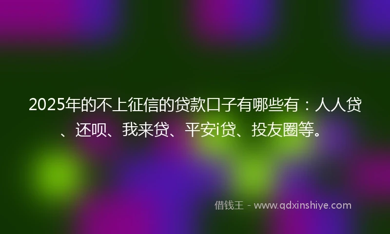 2025年的不上征信的贷款口子有哪些有：人人贷、还呗、我来贷、平安i贷、投友圈等。