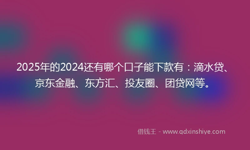 2025年的2024还有哪个口子能下款有：滴水贷、京东金融、东方汇、投友圈、团贷网等。