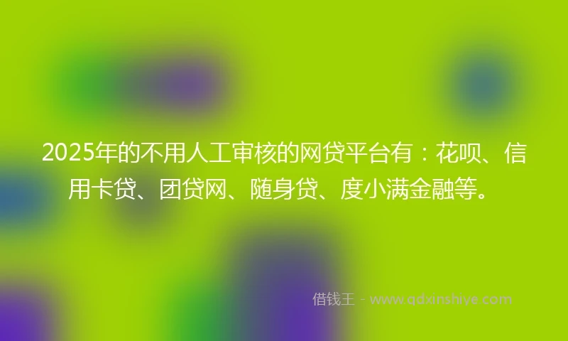 2025年的不用人工审核的网贷平台有：花呗、信用卡贷、团贷网、随身贷、度小满金融等。