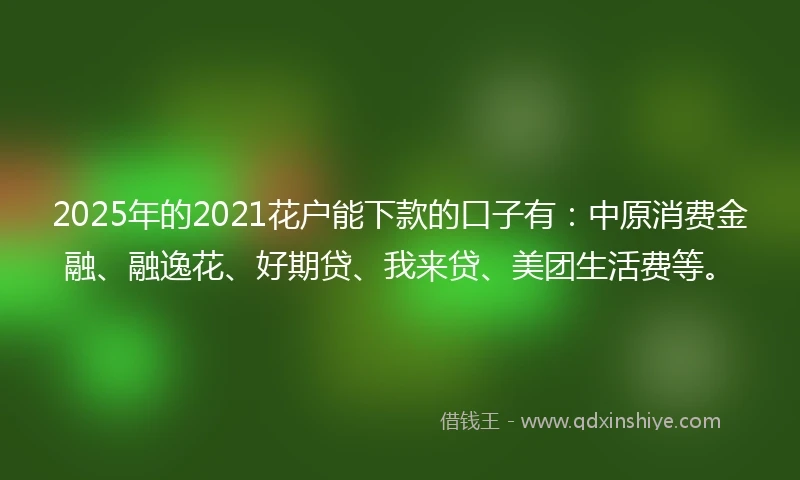 2025年的2021花户能下款的口子有：中原消费金融、融逸花、好期贷、我来贷、美团生活费等。